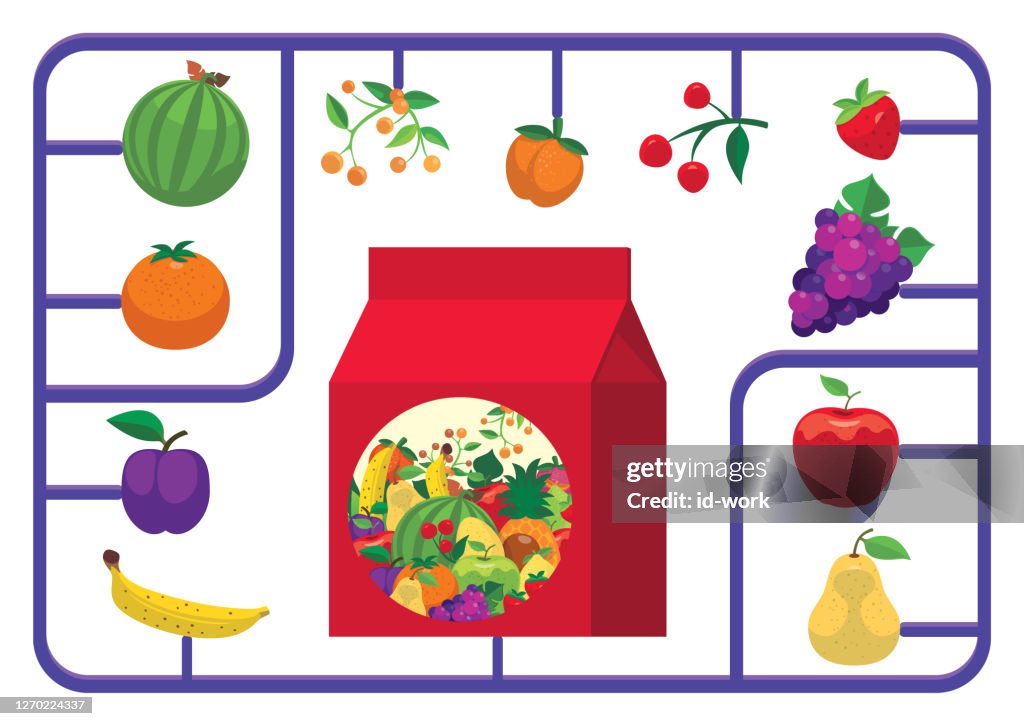Fruits model kit
