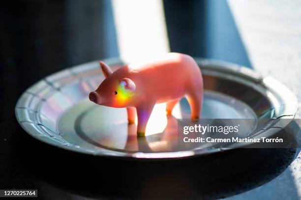 little toy pig on a plate. - exotic pets stock pictures, royalty-free photos & images
