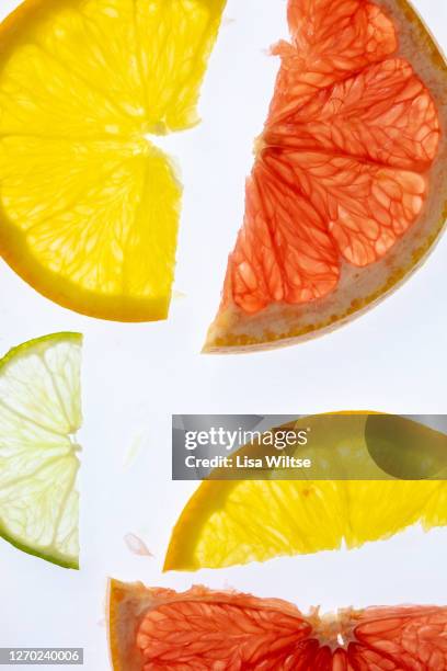 abstract composition with various backlit citrus slices on white background - lisa bitter stock-fotos und bilder