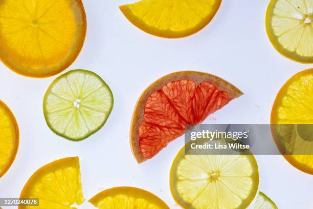 abstract composition with various backlit citrus slices on white background - lisa bitter stock-fotos und bilder