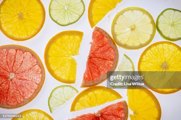 abstract composition with various backlit citrus slices on white background - lisa bitter stock-fotos und bilder