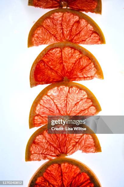 abstract composition of grapefruit backlit  on white background - lisa bitter stock-fotos und bilder