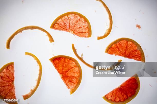 abstract composition of grapefruit and peels backlit  on white background - lisa bitter stock-fotos und bilder