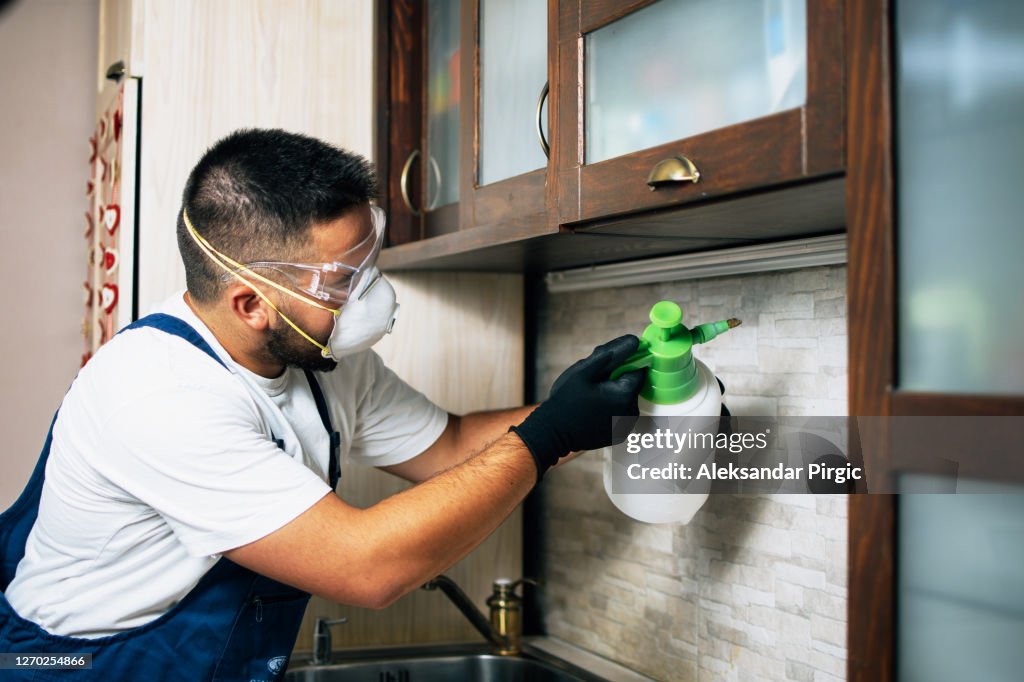 House pest control