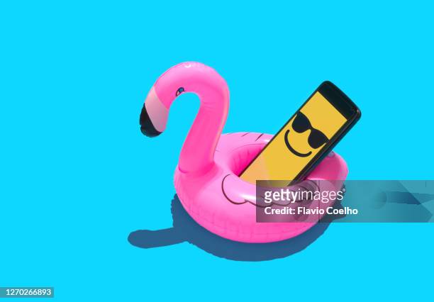 cell phone on inflatable flamingo toy on light blue background - flamingos stock-fotos und bilder