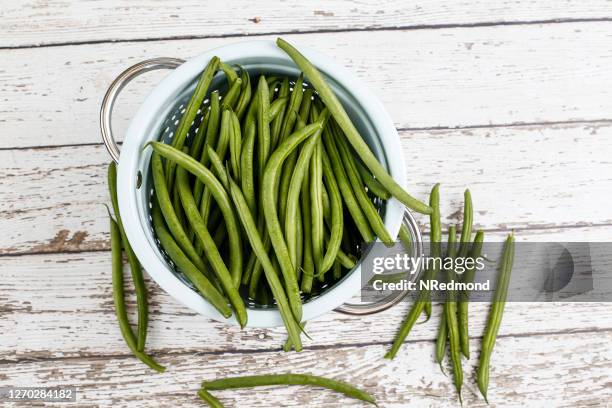 haricots verts français - haricot vert photos et images de collection