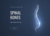 Spinal bones, vertebra low poly wireframe landing page template