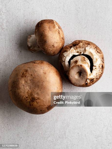 champignons, verse champignons - white mushroom stockfoto's en -beelden