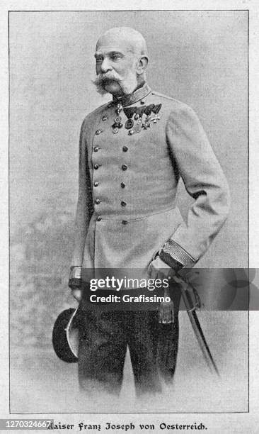 illustrations, cliparts, dessins animés et icônes de franz joseph ier empereur d’autriche portrait 1900 - franz joseph i of austria