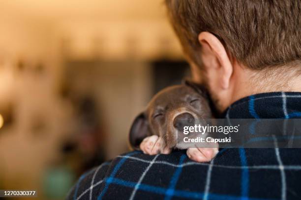 彼の肩に睡眠の子犬を保持している男 - 子犬 ストックフォトと画像