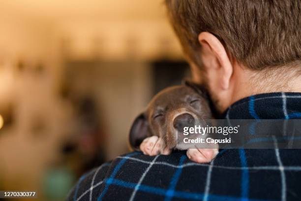 man holding a sleep puppy on his shoulder - puppies stock pictures, royalty-free photos & images