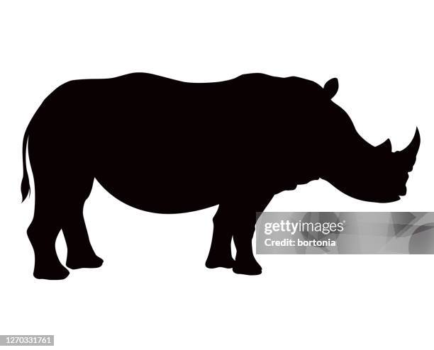 illustrations, cliparts, dessins animés et icônes de silhouette animale rhinocérosous africaine - zone herbeuse