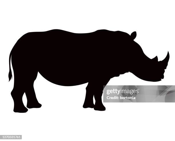 ilustrações de stock, clip art, desenhos animados e ícones de african rhinocerous animal silhouette - rhinoceros