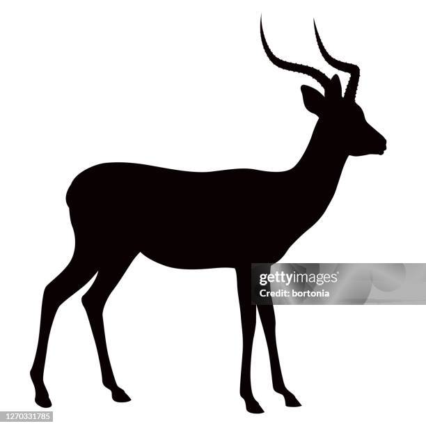 african hartebeest animal silhouette - hartebeest stock illustrations