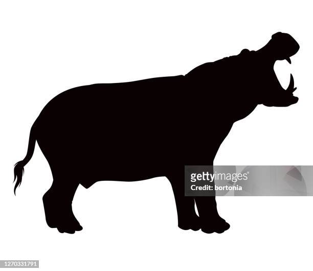 african hippopotamus animal silhouette - hippopotamus stock illustrations
