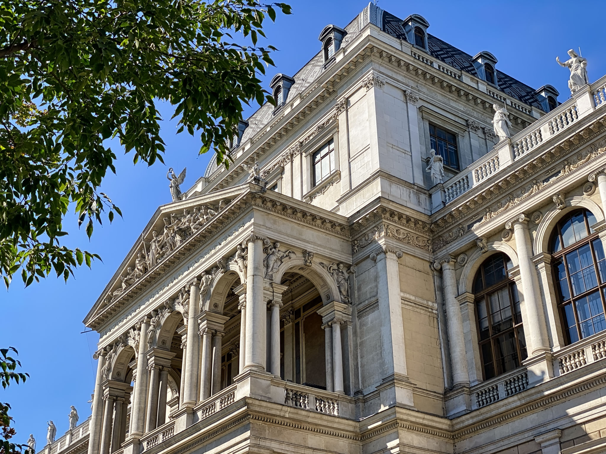 vienna university