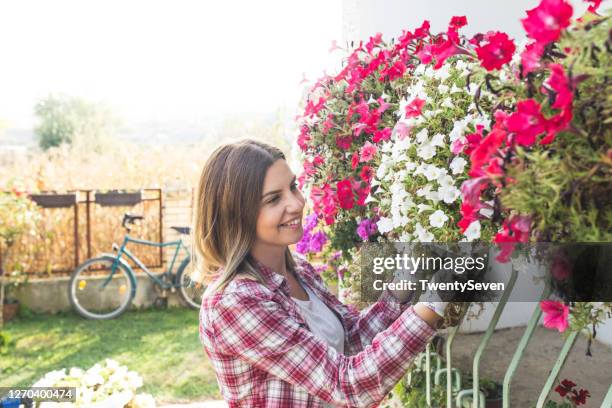 a young woman takes care of her flowers - sugar daddy stock pictures, royalty-free photos & images