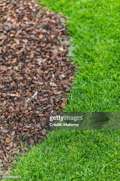 close-up of green lawn and bark mulch - bark mulch stock pictures, royalty-free photos & images