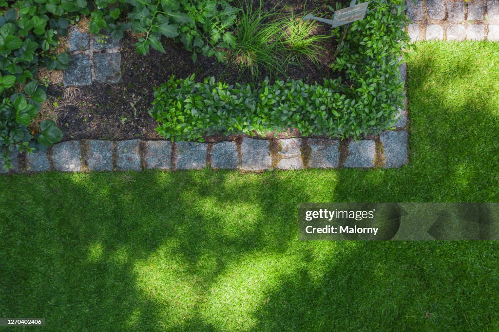 Aerial view of lawn and vegetable garde. Directly above. Drone view.