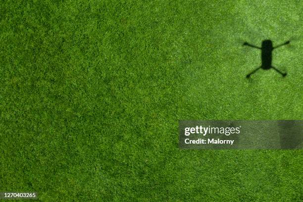 aerial view of shadow of a drone on lawn. directly above. drone view. - クワッドコプター ストックフォトと画像