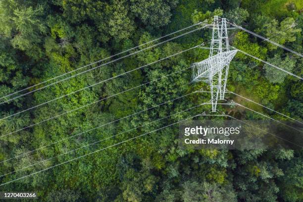 aerial view of power lines leading through forest. - ecosystem abstract stock pictures, royalty-free photos & images