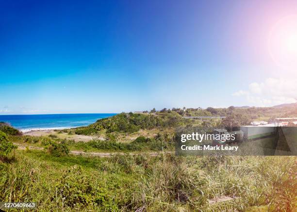 the st kitts scenic railway train winds through the countryside around basseterre - saint kitts stockfoto's en -beelden