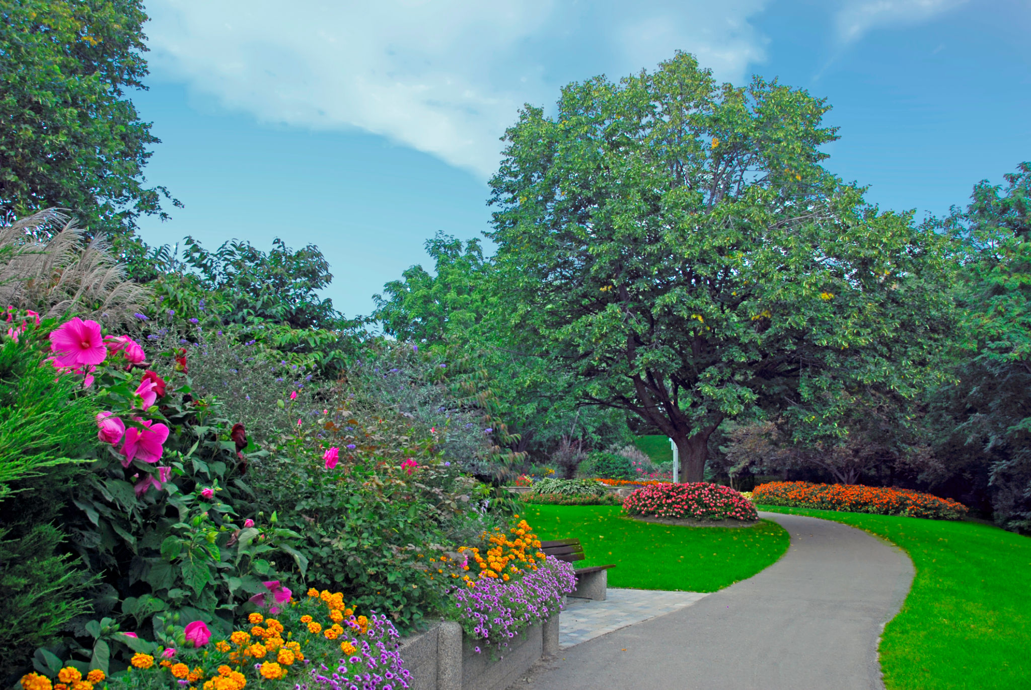 lawn care Brampton