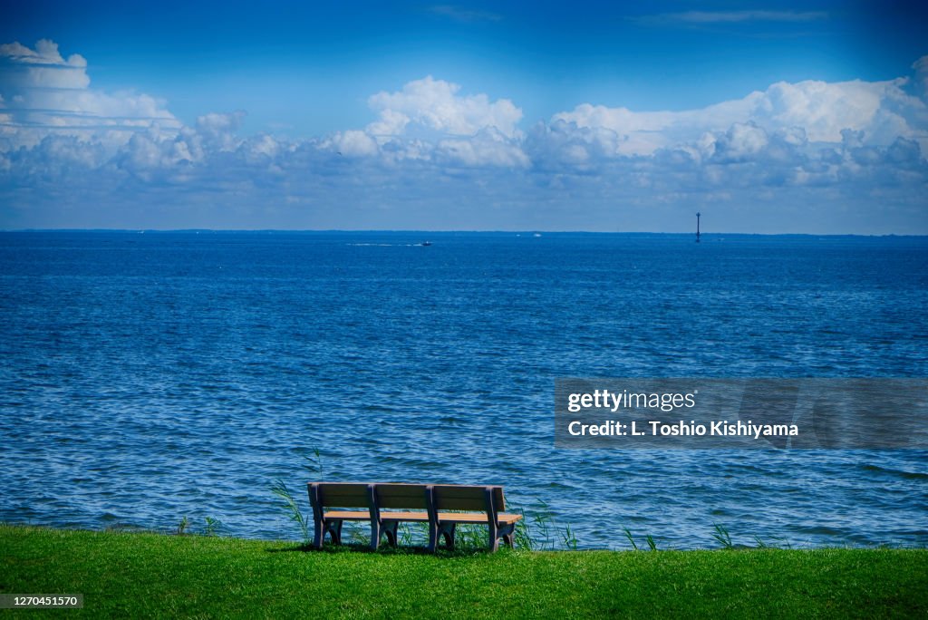 Chesapeake Bay and bench