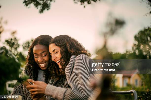 cheerful friends using phone in backyard during social gathering - female friendship stock pictures, royalty-free photos & images