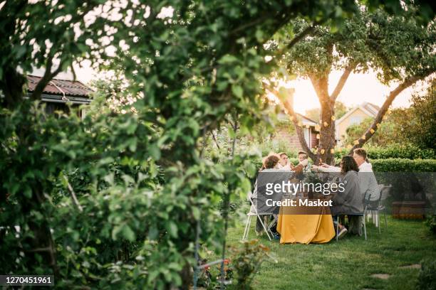 smiling male and female friends toasting beer in backyard - garden party foto e immagini stock