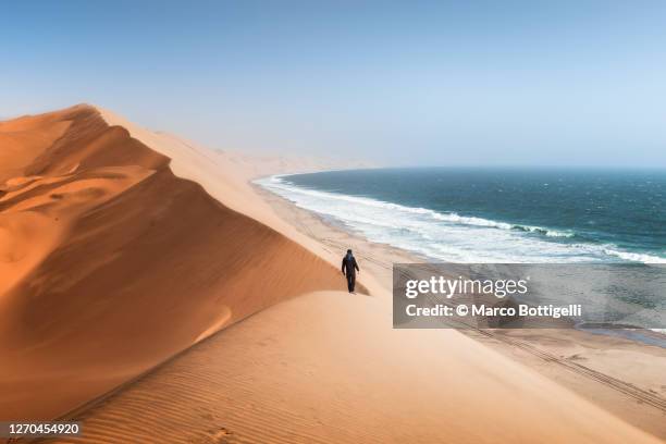 man walking on sand dunes above the ocean, namibia - namibia stock-fotos und bilder