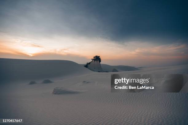 white sands national park 0820 14 - las cruces new mexico stock-fotos und bilder