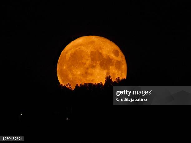 full moon - supermoon stock pictures, royalty-free photos & images