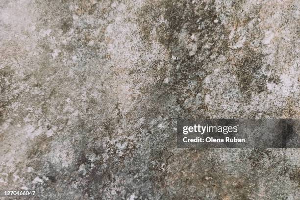Patchy Texture Consistent 67 Patchy Texture Stock Photos, High-Res Pictures, and Images - Getty ...