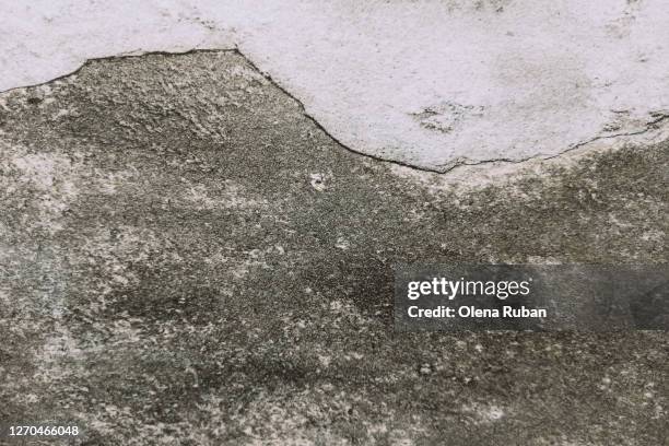 Patchy Texture Consistent 67 Patchy Texture Stock Photos, High-Res Pictures, and Images - Getty ...
