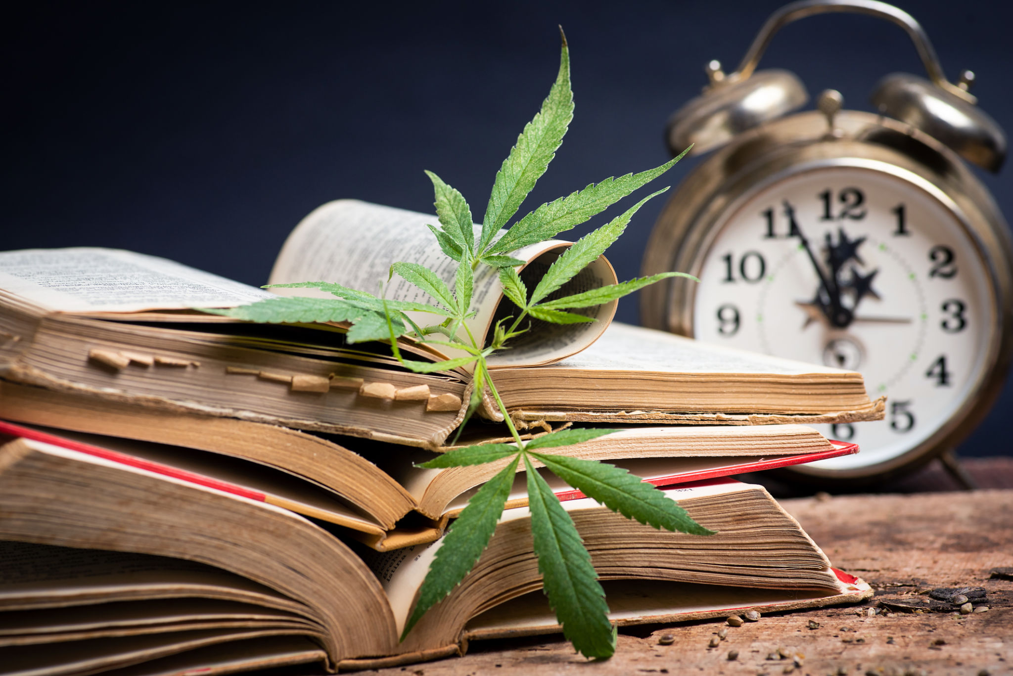 cannabis education