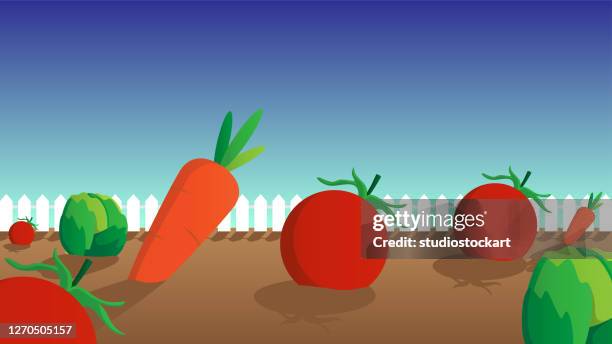 fresh vegetables - lettuce growing stock illustrations