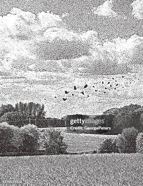 cultivated farm field with rolling hills - corn field stock illustrations