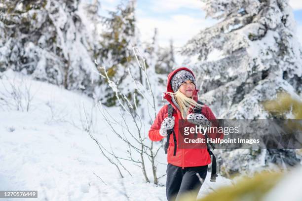 portrait of senior woman hiking in snow covered winter nature, walking. - winter sport stock-fotos und bilder
