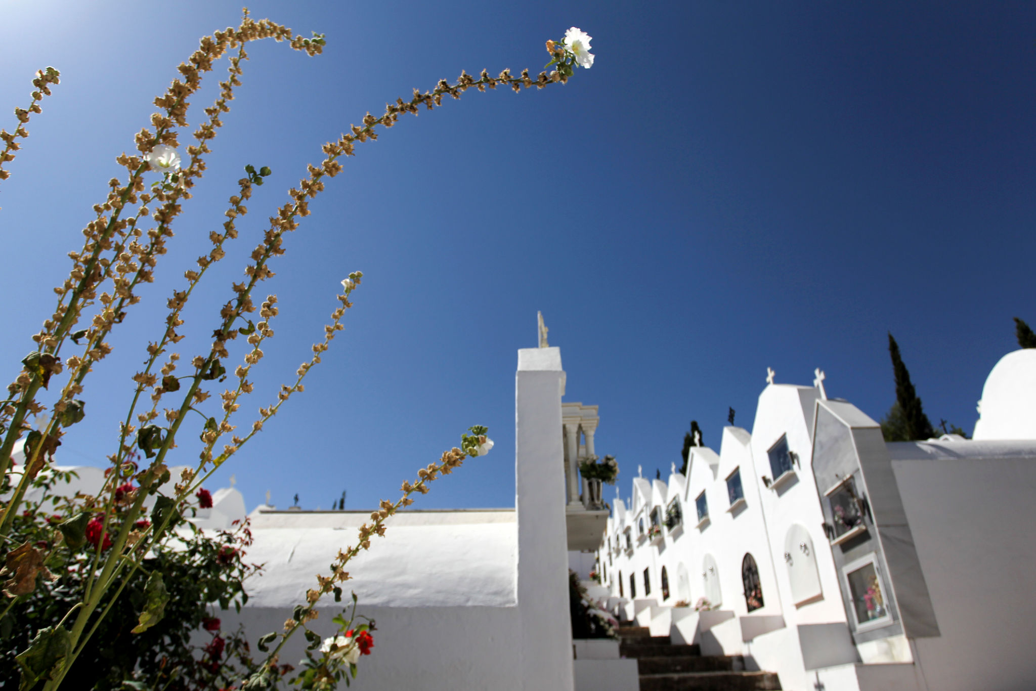 clinica rejuvenecimiento andalucia