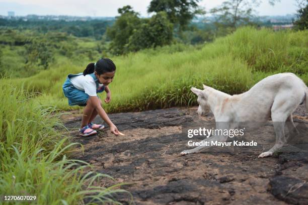 girl feeding the stray dog - indian animals foto e immagini stock