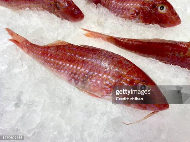herring carp - herring stock pictures, royalty-free photos & images