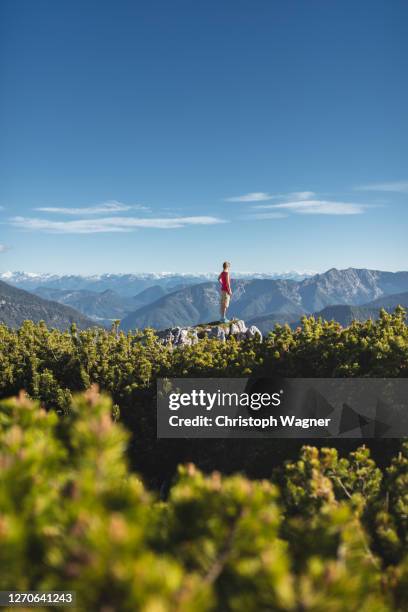 frau in den bergen beim wandern - frau ストックフォトと画像