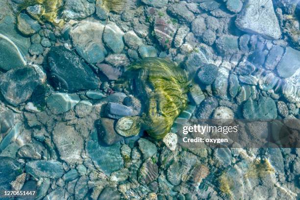 shining stone pebbles underwater. under сlear turquoise water through the stream on the pebbles with seaweed - beach stone stock-fotos und bilder