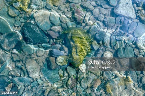 shining stone pebbles underwater. under сlear turquoise water through the stream on the pebbles with seaweed - transparent texture stock pictures, royalty-free photos & images