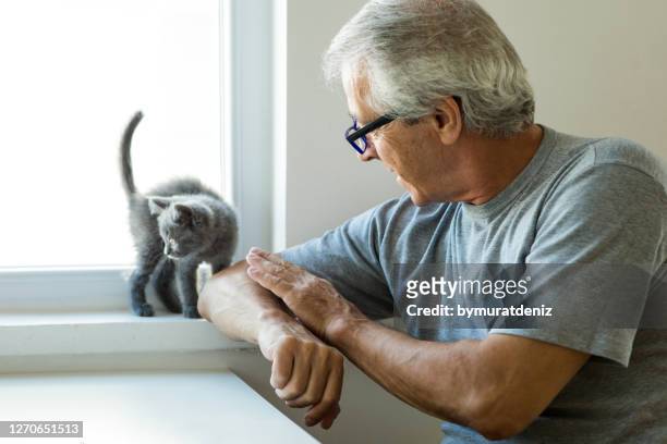 old man playing with cat - male feet on face stock pictures, royalty-free photos & images