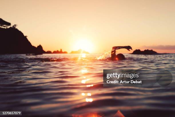 swimming freestyle during sunrise, a moment of the day to heal soul and find peace. - morning swim stockfoto's en -beelden