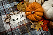 Autumn White Small pumpkins on plaid background with Baby breath flowers