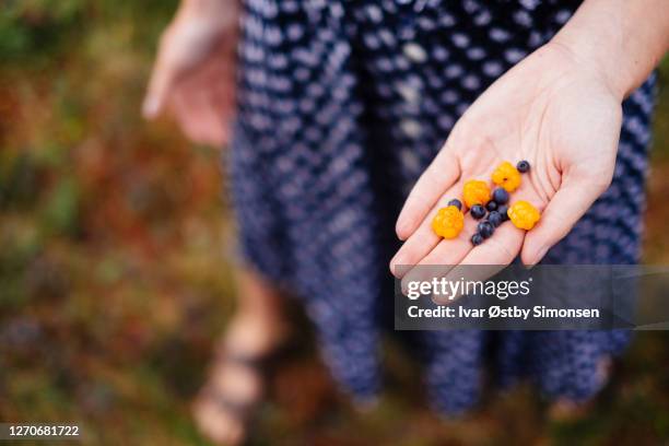 female hand with fresh forest berries - berry stock pictures, royalty-free photos & images