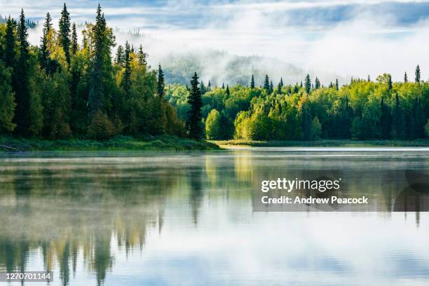 morning mist on z-lake near talkeetna, alaska, usa - talkeetna stock pictures, royalty-free photos & images